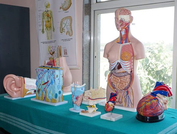 Paramedical Education Programs Patna