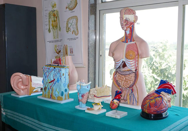 Paramedical Education Programs Patna